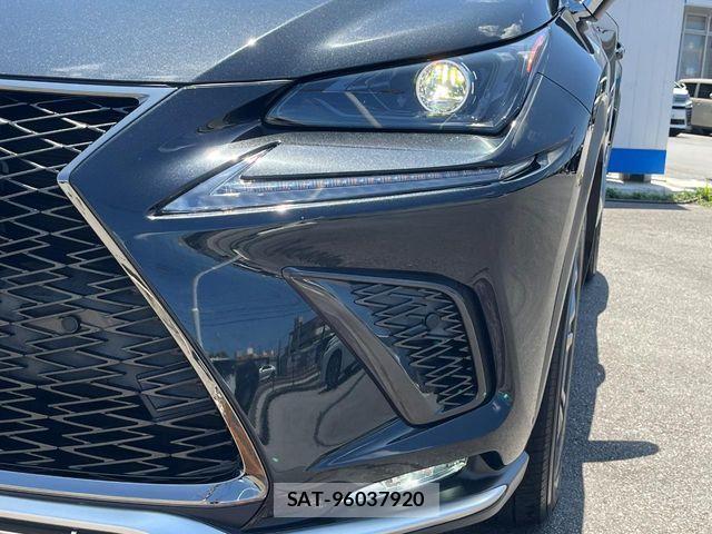 Lexus NX 2020-05 8074359-13
