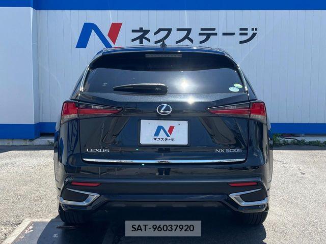 Lexus NX 2020-05 8074359-15