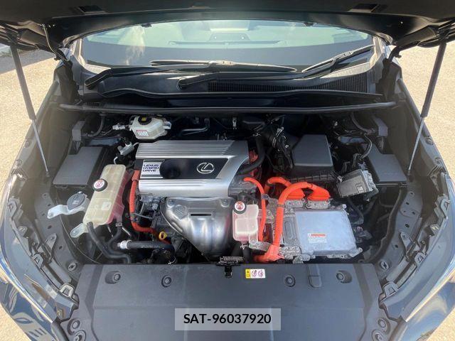 Lexus NX 2020-05 8074359-18