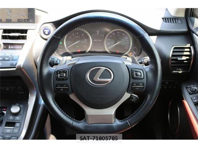 Lexus NX 2015-07 8074364-14