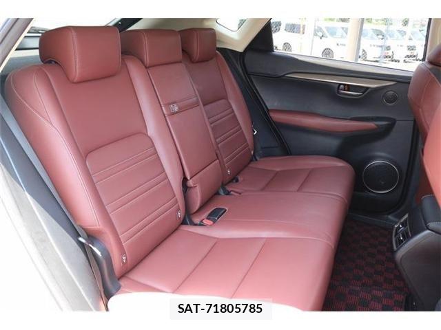 Lexus NX 2015-07 8074364-17