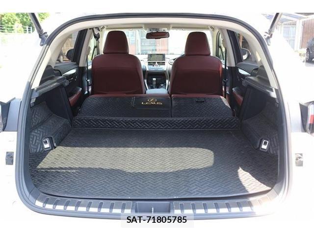 Lexus NX 2015-07 8074364-18