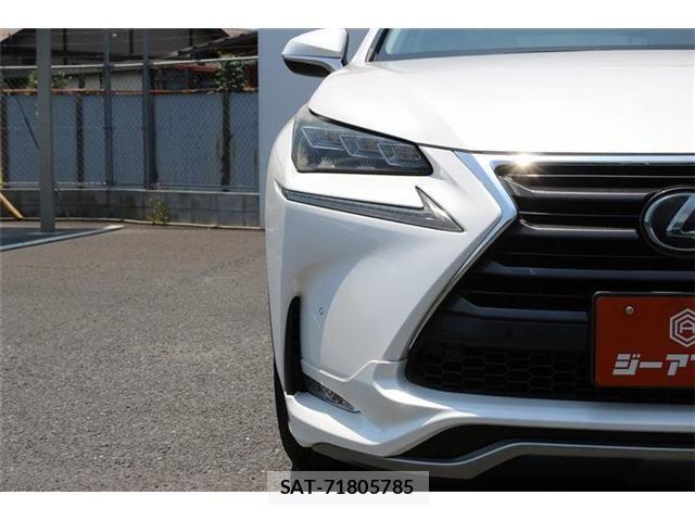 Lexus NX 2015-07 8074364-25
