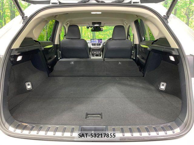 Lexus NX 2018-03 8074362-10