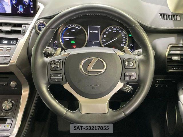 Lexus NX 2018-03 8074362-11