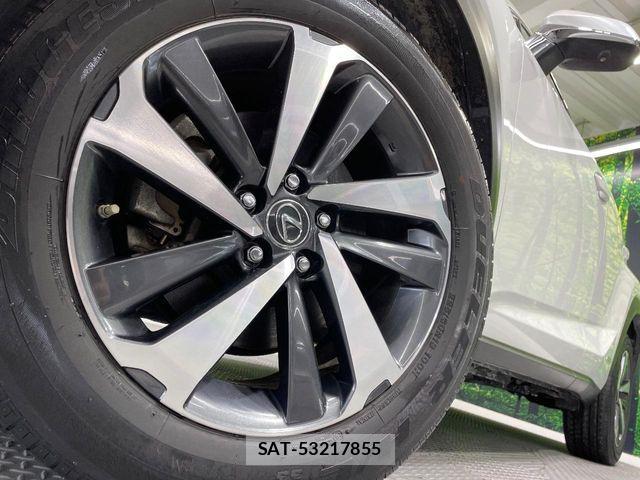 Lexus NX 2018-03 8074362-12