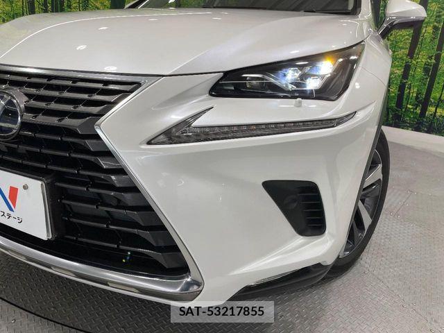 Lexus NX 2018-03 8074362-13