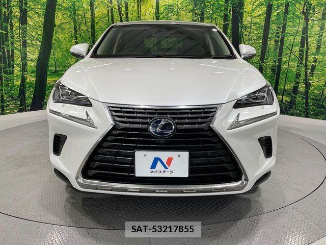 Lexus NX 2018-03 8074362-14