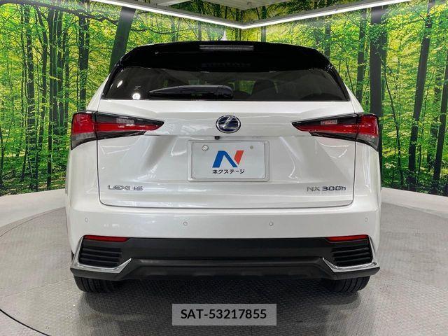Lexus NX 2018-03 8074362-15
