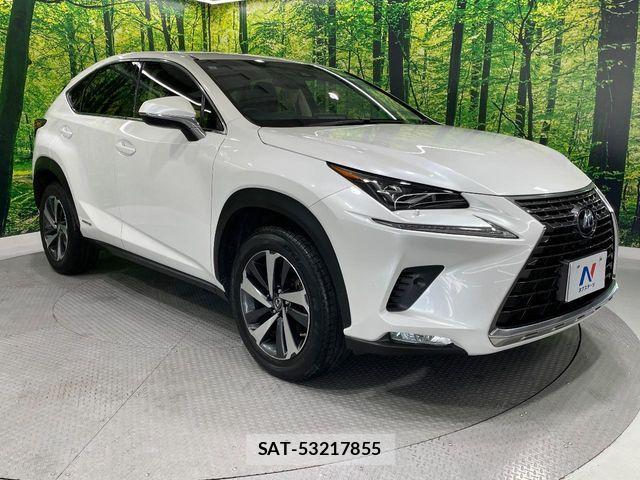 Lexus NX 2018-03 8074362-16