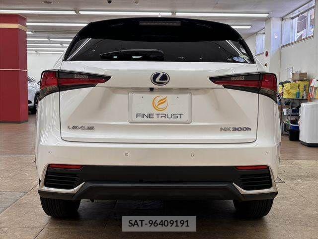 Lexus NX 2018-08 8074363-16