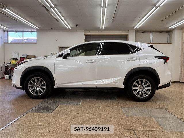 Lexus NX 2018-08 8074363-19