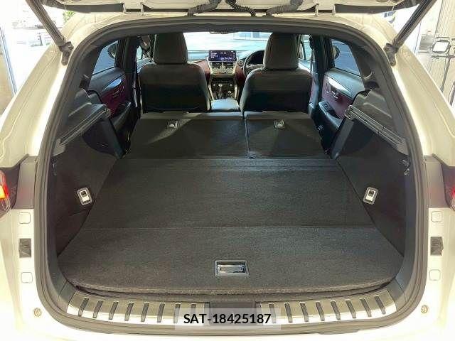 Lexus NX 2020-10 8074360-11