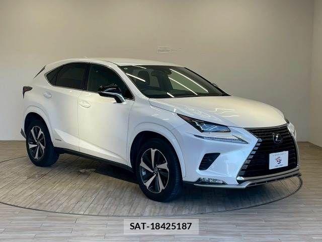 Lexus NX 2020-10 8074360-13