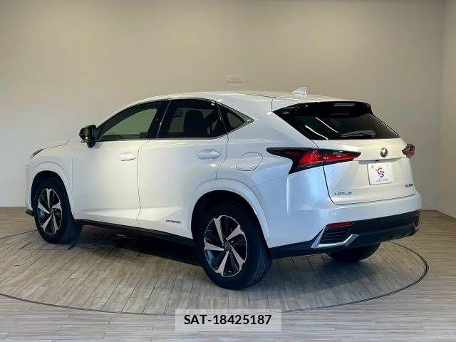 Lexus NX 2020-10 8074360-15