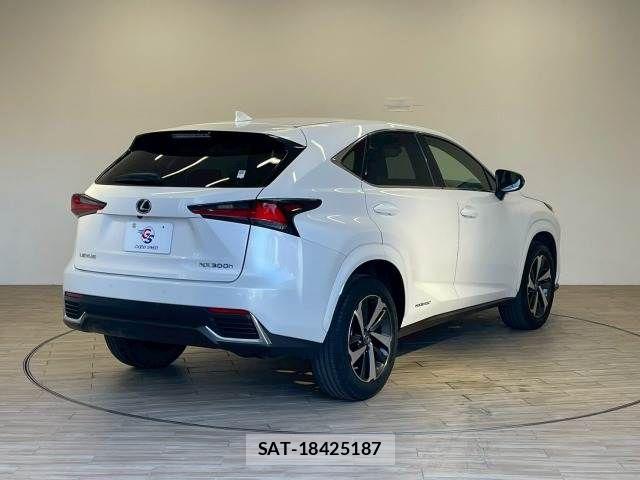 Lexus NX 2020-10 8074360-16