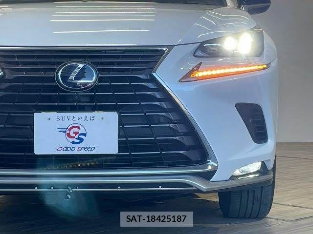 Lexus NX 2020-10 8074360-18