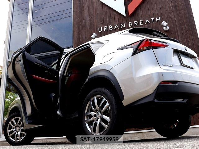 Lexus NX 2016-01 8100165-11