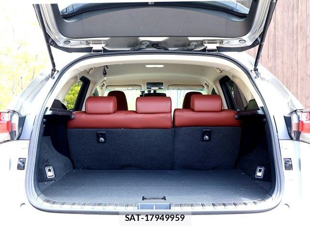 Lexus NX 2016-01 8100165-27