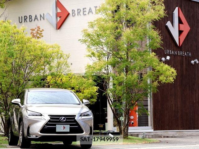 Lexus NX 2016-01 8100165-5