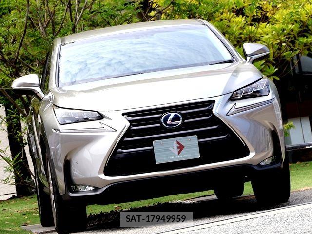 Lexus NX 2016-01 8100165-6