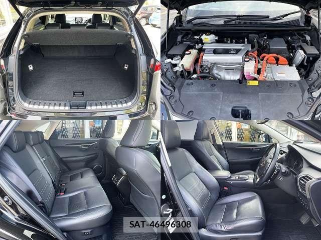 Lexus NX 2014-11 8100164-7