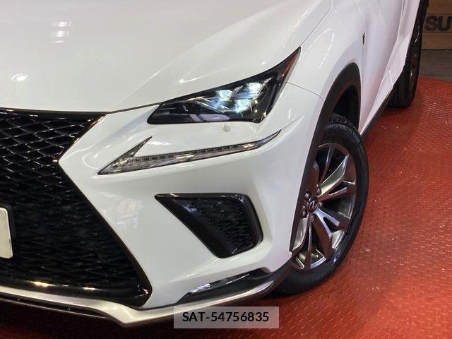 Lexus NX 2019-09 8146072-11