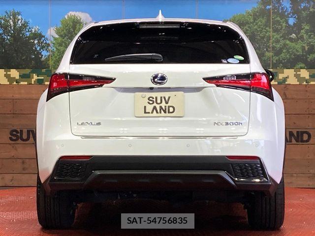 Lexus NX 2019-09 8146072-14
