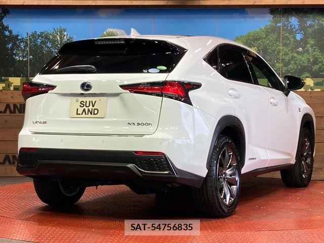 Lexus NX 2019-09 8146072-16