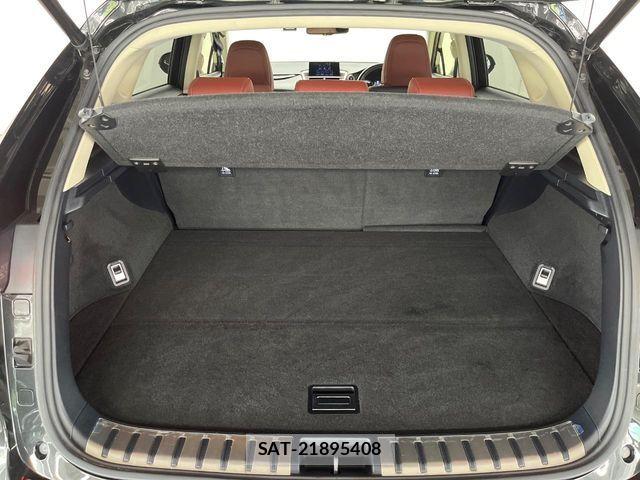 Lexus NX 2016-07 8146074-12
