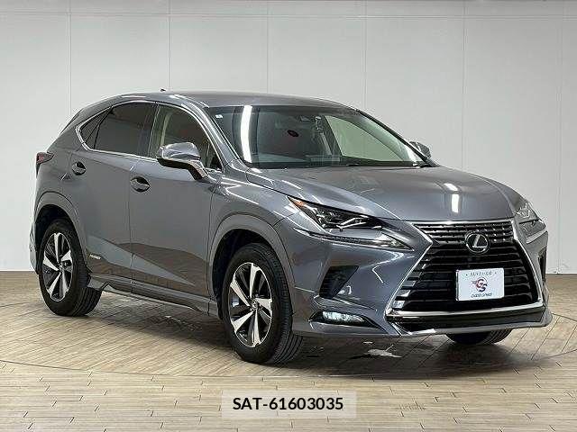 Lexus NX 2018-03 8146073-13
