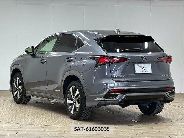 Lexus NX 2018-03 8146073-16