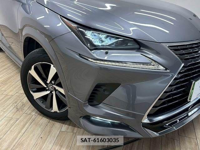 Lexus NX 2018-03 8146073-19