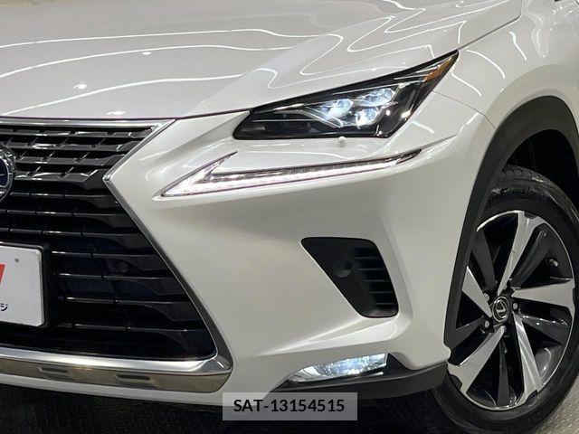 Lexus NX 2019-01 8158704-11