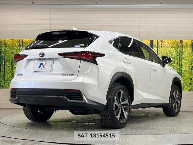 Lexus NX 2019-01 8158704-16