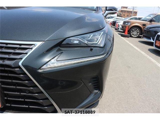 Lexus NX 2017-10 8158705-17