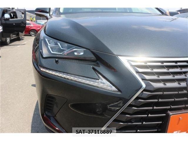 Lexus NX 2017-10 8158705-19