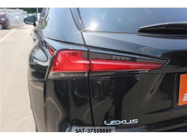 Lexus NX 2017-10 8158705-21