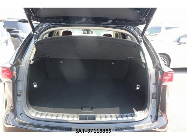 Lexus NX 2017-10 8158705-28