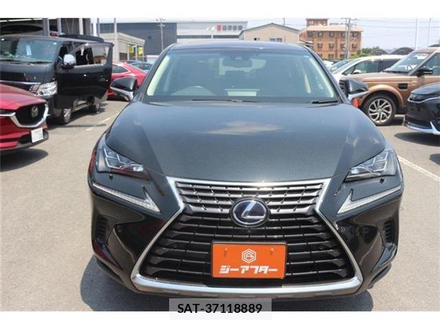 Lexus NX 2017-10 8158705-2