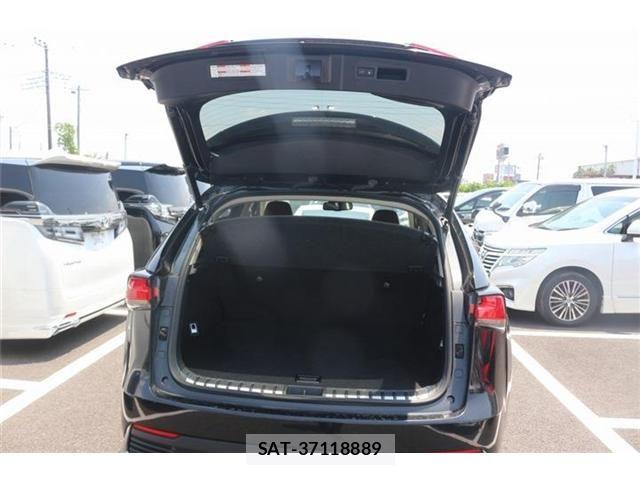 Lexus NX 2017-10 8158705-29