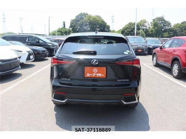 Lexus NX 2017-10 8158705-6