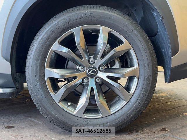 Lexus NX 2018-11 8208411-12