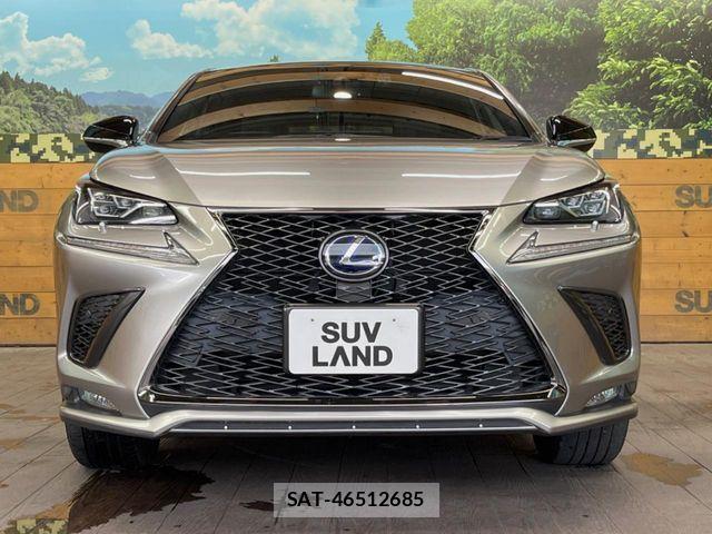 Lexus NX 2018-11 8208411-13