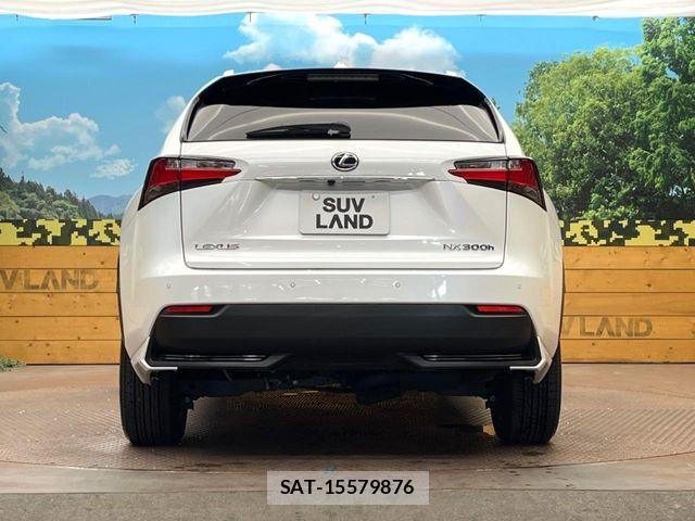 Lexus NX 2015-07 8208420-13