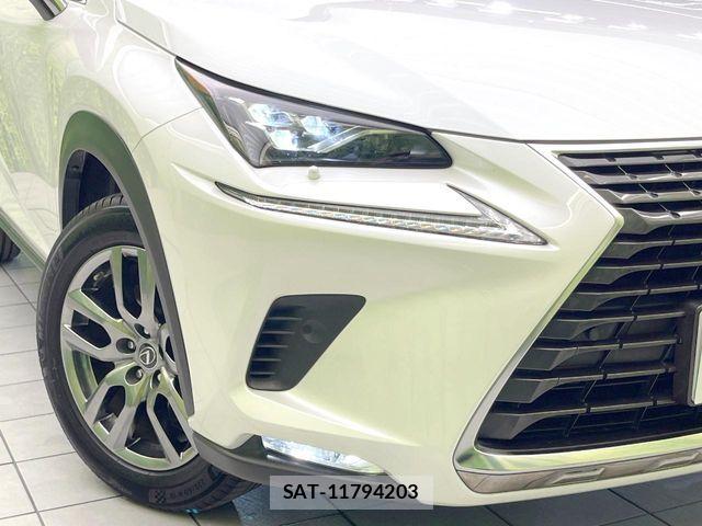 Lexus NX 2017-12 8208421-11