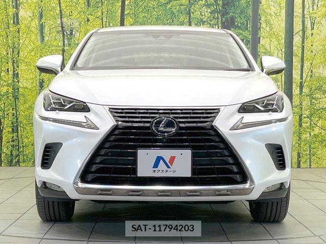 Lexus NX 2017-12 8208421-13