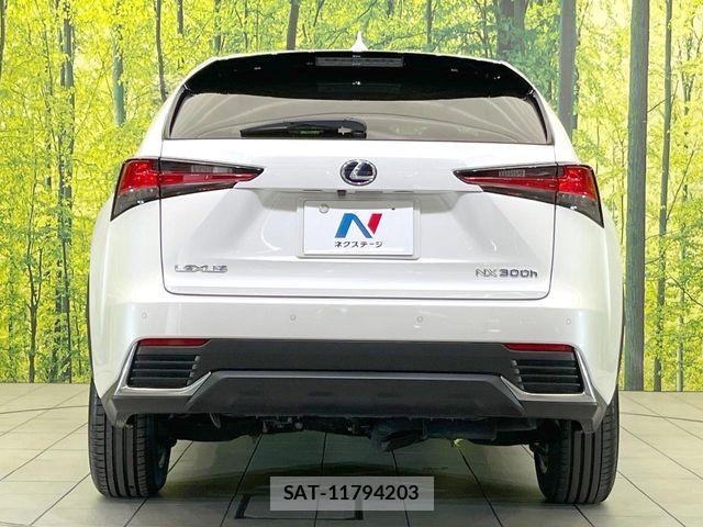 Lexus NX 2017-12 8208421-14