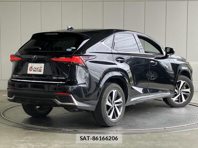 Lexus NX 2021-02 8208418-28