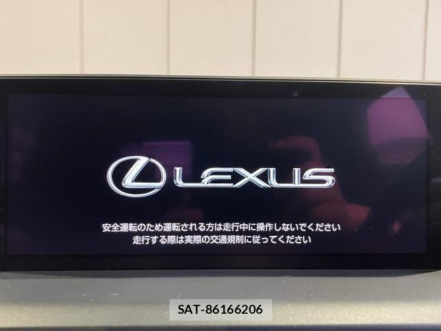 Lexus NX 2021-02 8208418-7